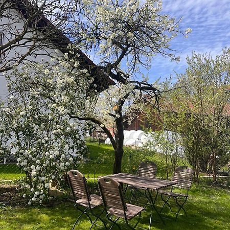 Zimmer Zum Wohlfuehlen Eching  Екстер'єр фото
