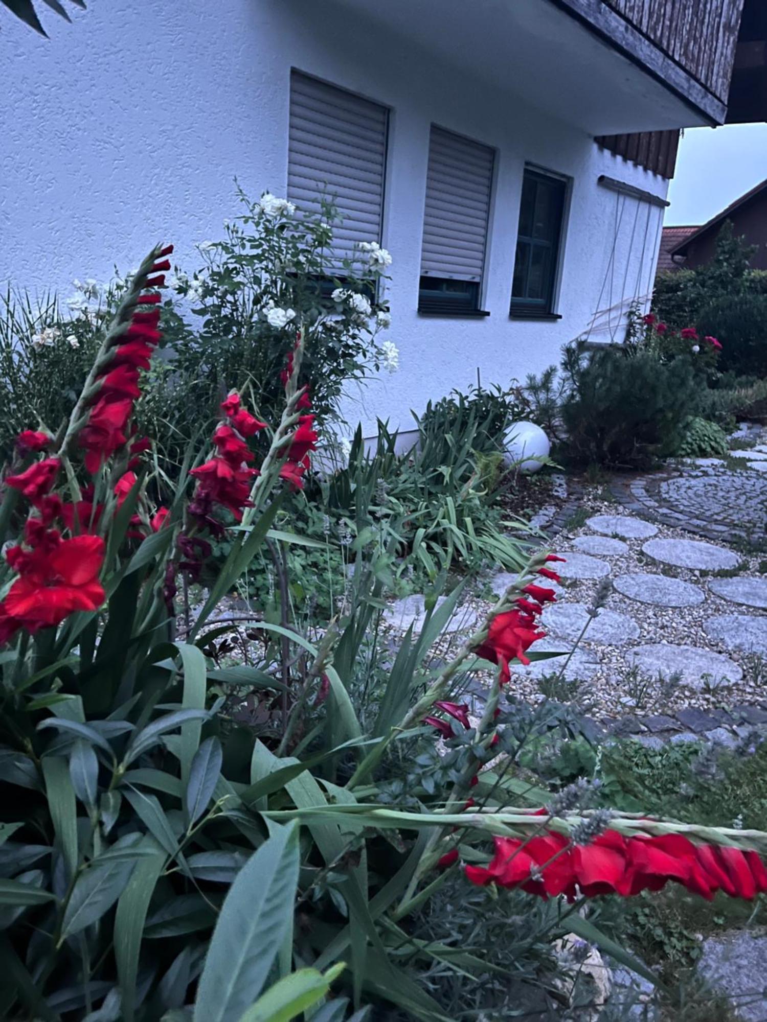 Zimmer Zum Wohlfuehlen Eching  Екстер'єр фото