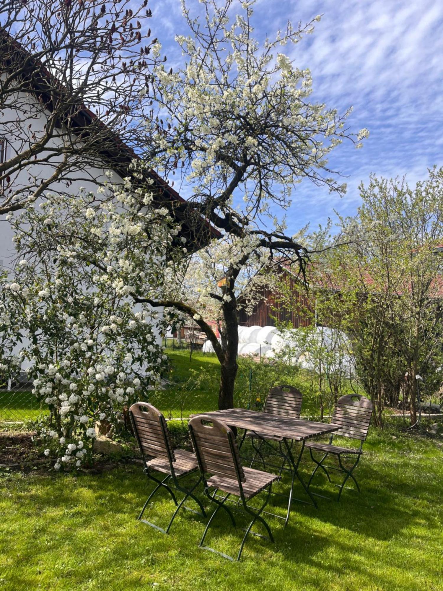 Zimmer Zum Wohlfuehlen Eching  Екстер'єр фото